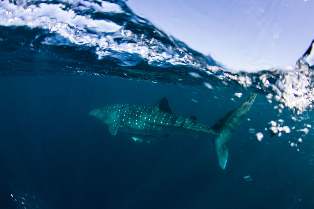 27dcaee4-82b5-4829-8f72-8f7751750a19