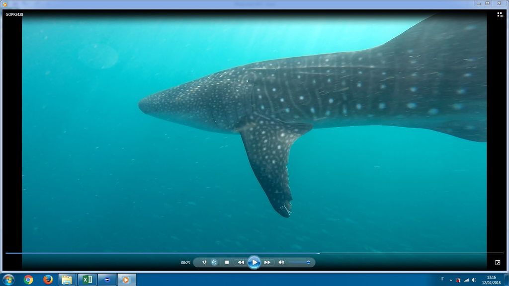 4ef3bcee-d903-4356-9cfc-5a56345f7595