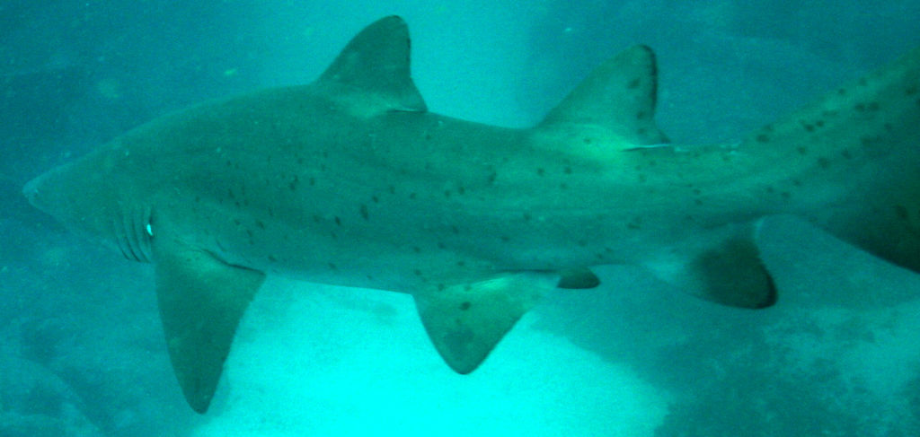 d764c215-bd09-4dae-8cf9-db4eca7f5289