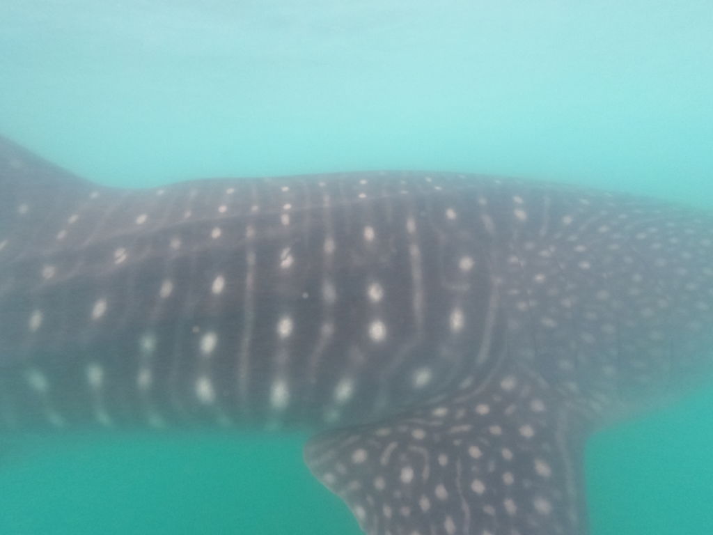 7166fd52-fcb2-4ba5-bc03-2a03fa2b74fd