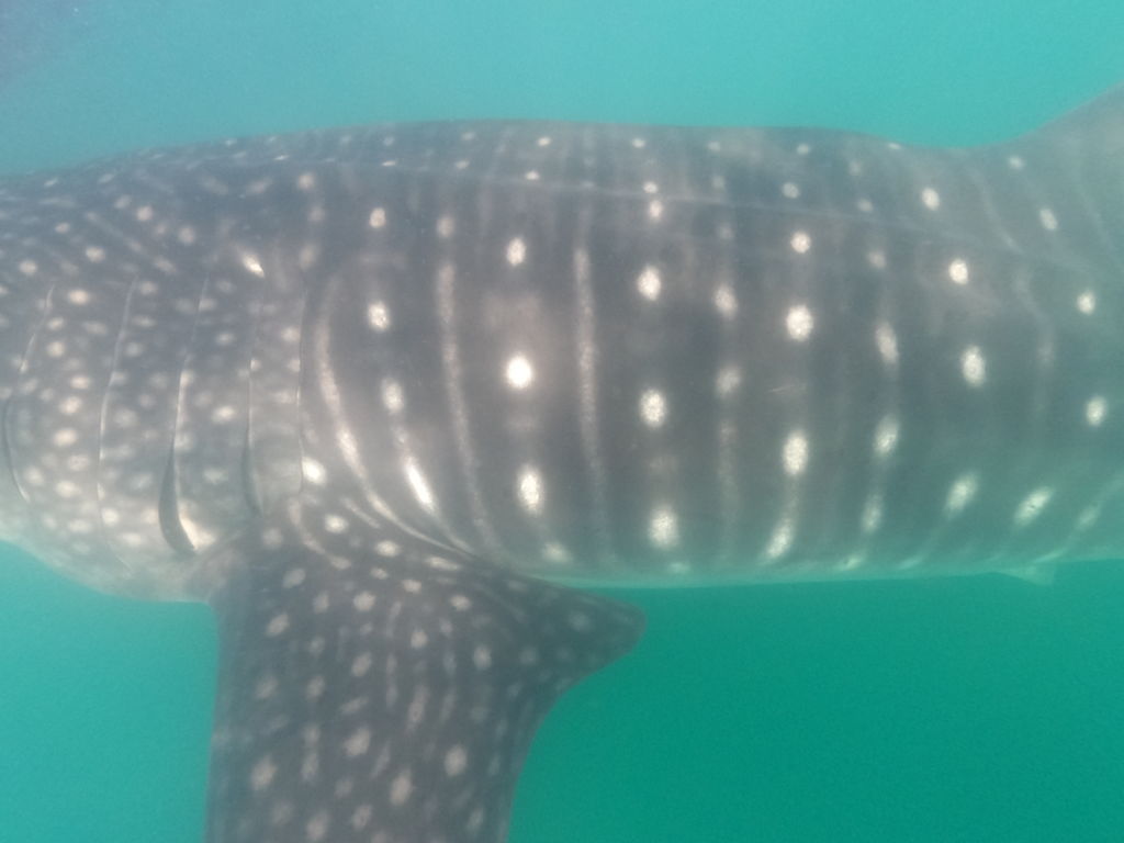 7166fd52-fcb2-4ba5-bc03-2a03fa2b74fd