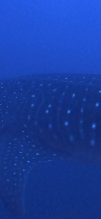 defaacfb-cca9-4977-af3d-fc8de6224f8d