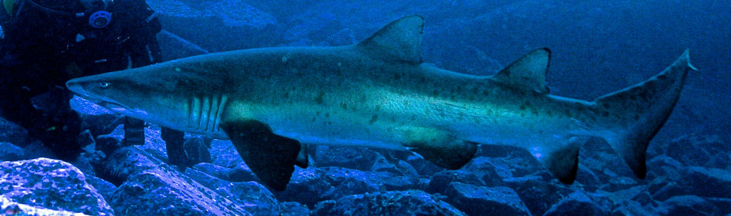 70c82ce2-7fce-4138-b37a-4d2bdbe68907