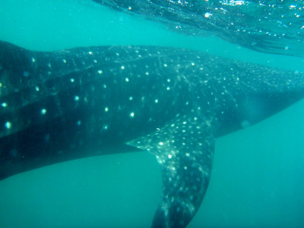 ca3d767b-adfb-43f5-be24-30a27dd89cd1