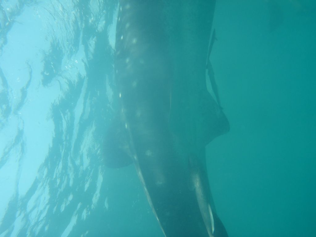 ca3d767b-adfb-43f5-be24-30a27dd89cd1