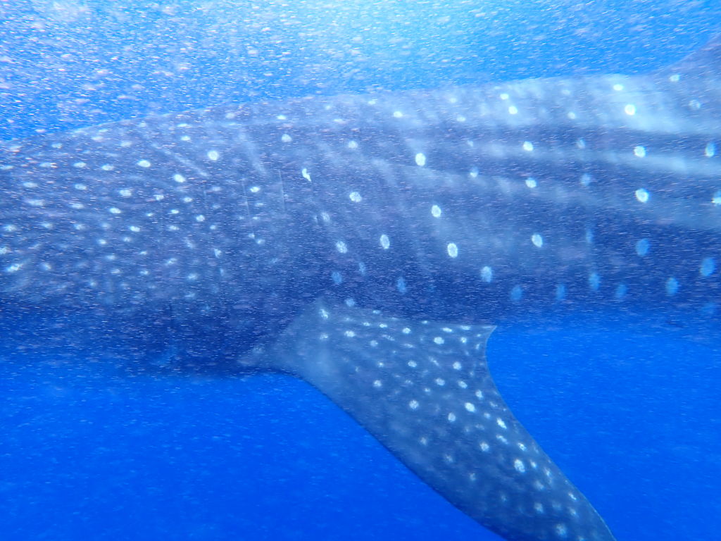 5f411111-5ae7-4fd7-b6b5-aaada5308009