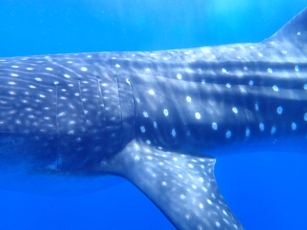 5f411111-5ae7-4fd7-b6b5-aaada5308009