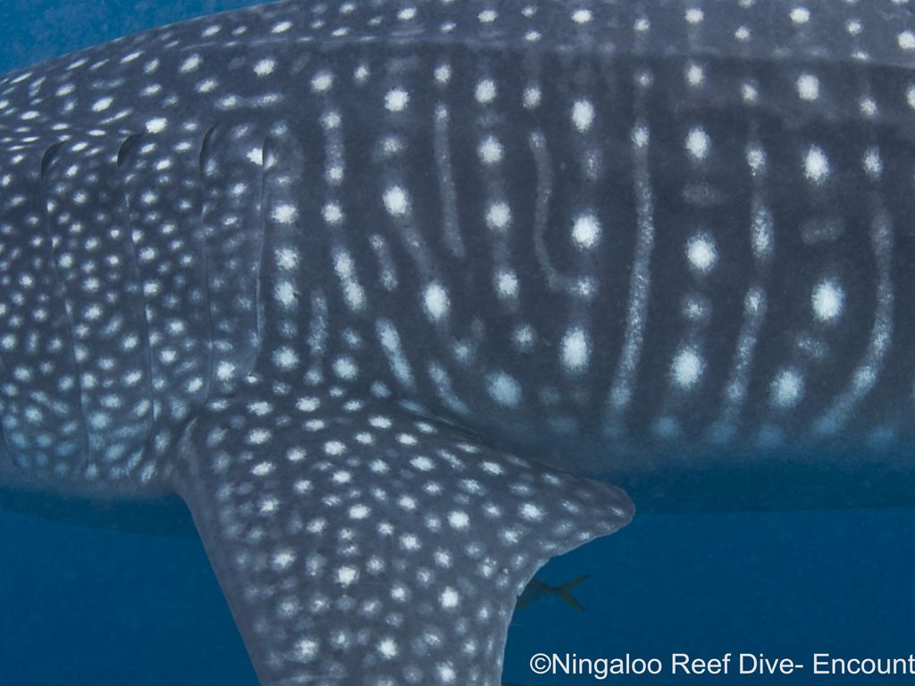 7397b638-2050-4b7d-9d4f-c487748890c4