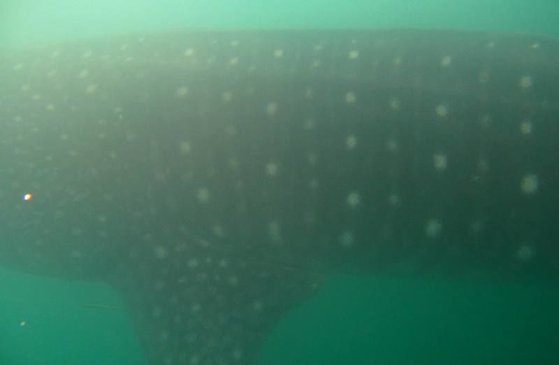 9a6c8b76-274f-4a1d-bcb2-0226797da2e1