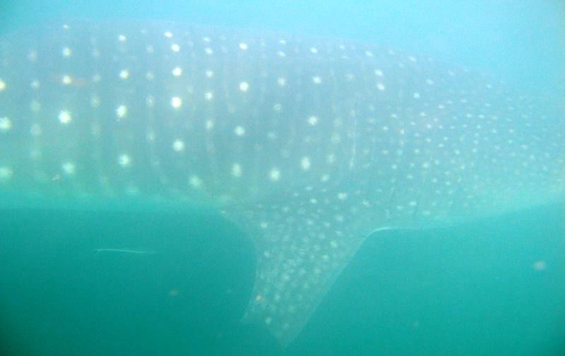 9a6c8b76-274f-4a1d-bcb2-0226797da2e1