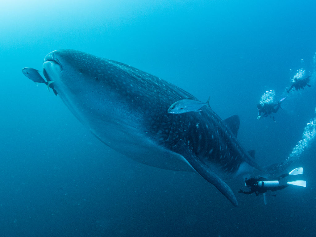 dc8613d2-1c04-49a2-8596-e620c5e321bc