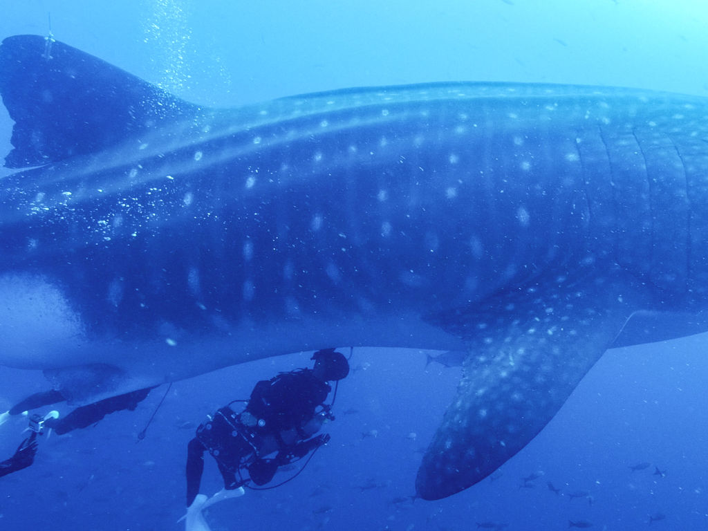 dc8613d2-1c04-49a2-8596-e620c5e321bc