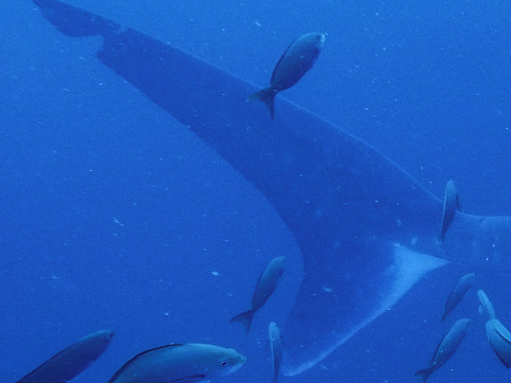 dc8613d2-1c04-49a2-8596-e620c5e321bc