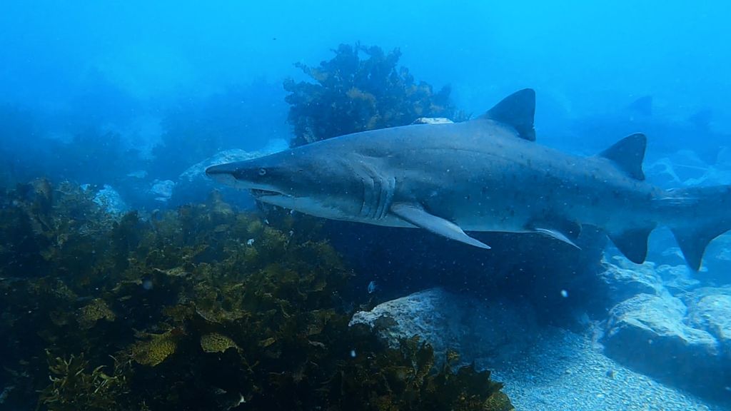 0dc06a6a-50b3-4e70-b7d3-15c5b3c37d59