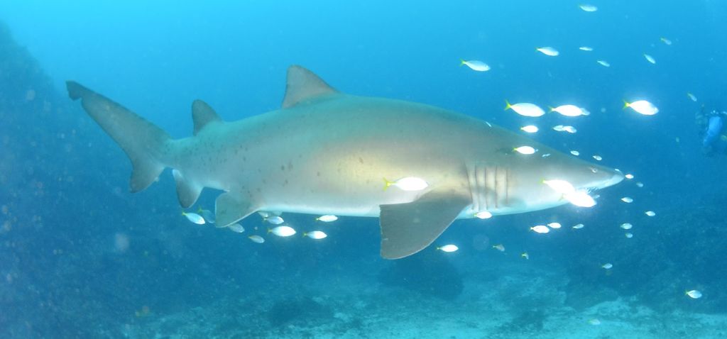 1f7d84a7-c635-476d-9727-4f4fa39b8fd1