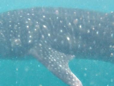 fcd22a07-5b9a-48e4-89a5-8f7dbb18bf6a