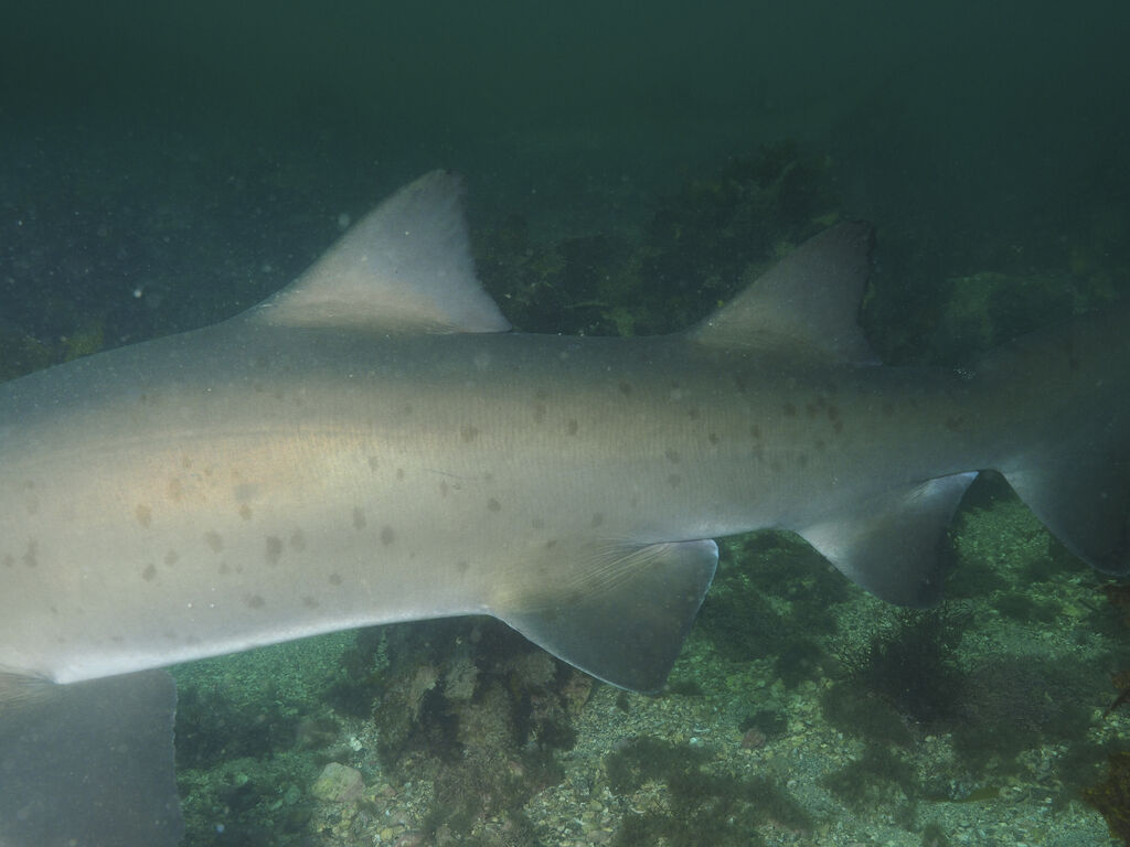 fae69432-8bf9-4a3d-af32-26b19cc95bcc