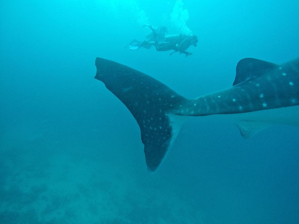 4898dcef-d873-4b53-becc-dfcc1607f191