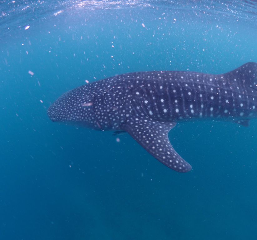 36b124b4-f7b4-48a3-92bf-b75b203ba185