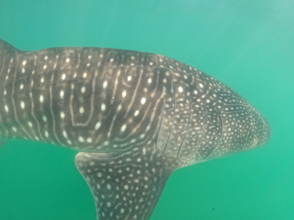 8756d176-3063-4010-828d-b3199fdffb62