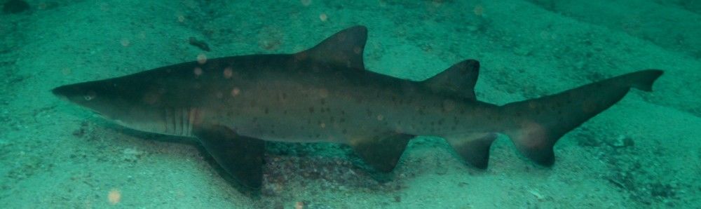 77ab227c-ab3d-4c63-8218-5f2117a892ec