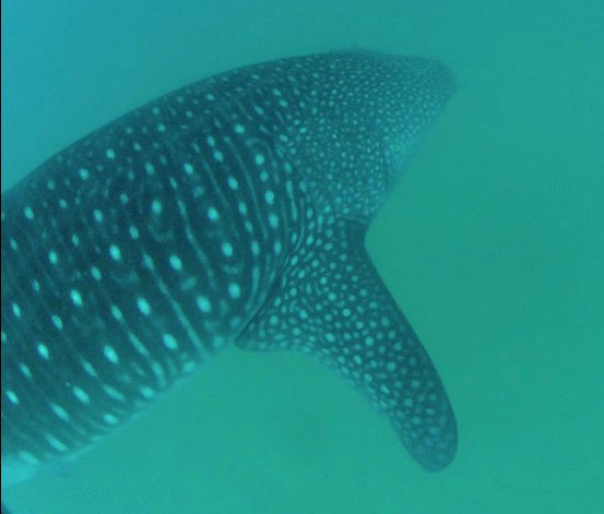 23fec59a-b959-4cd5-8175-8774fa471479