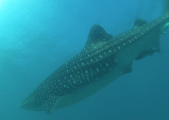 23fec59a-b959-4cd5-8175-8774fa471479