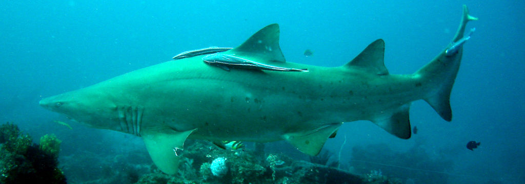 7d3fc65c-da5f-4322-9617-c5e837c91f95