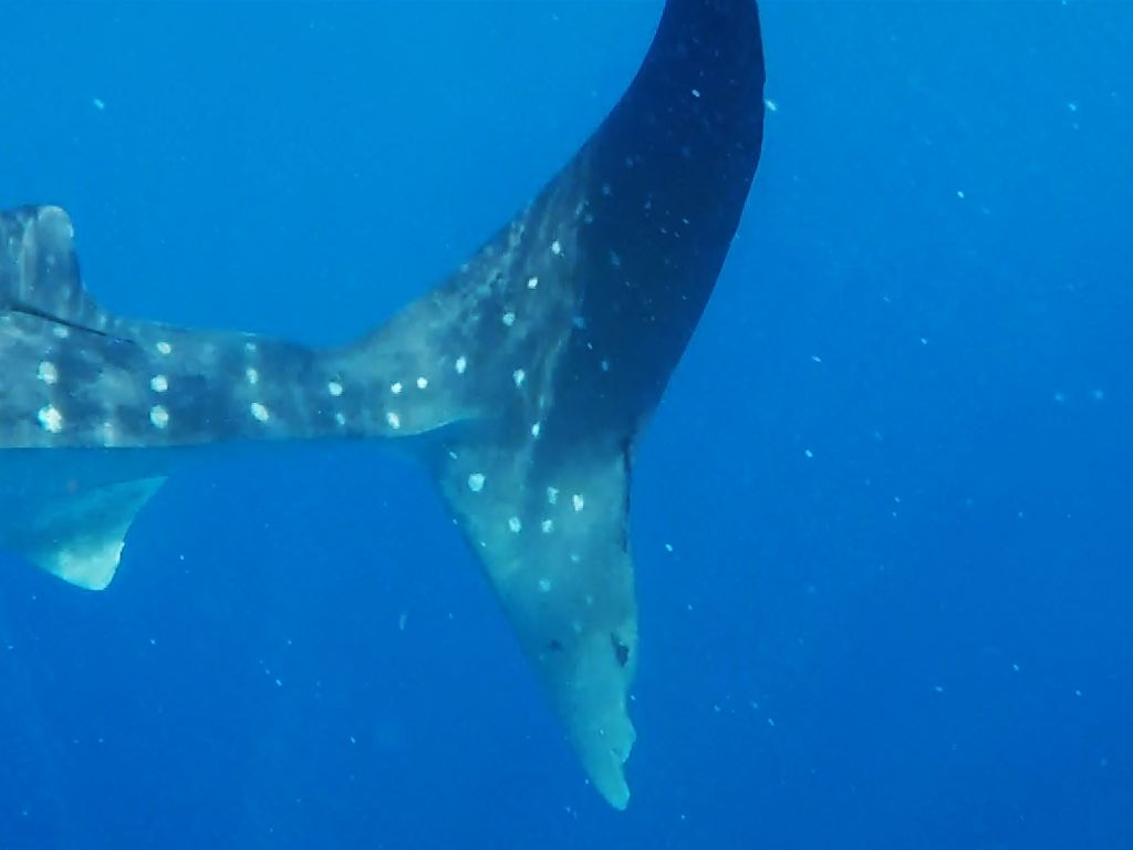 a2e3a6d3-0194-4a8e-a943-27cfb6ba3718