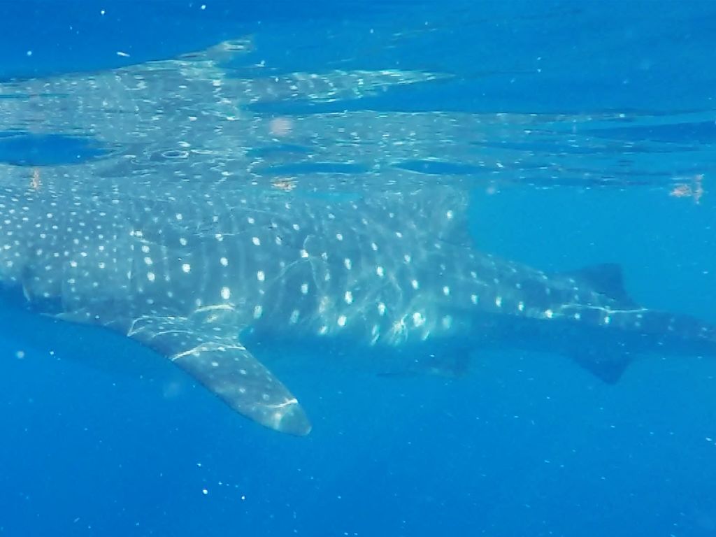 a2e3a6d3-0194-4a8e-a943-27cfb6ba3718