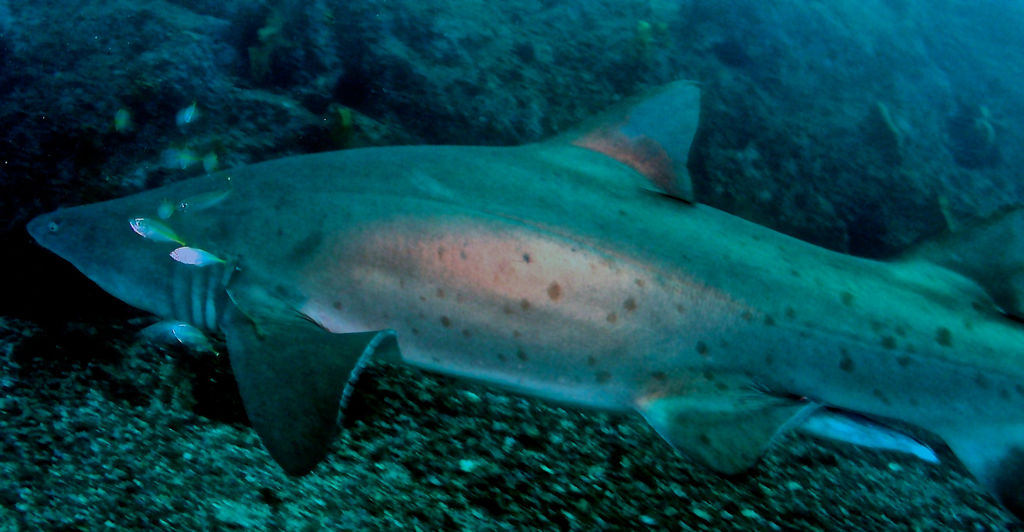 2c6415a6-6440-4917-a9a6-68cb0f86e806