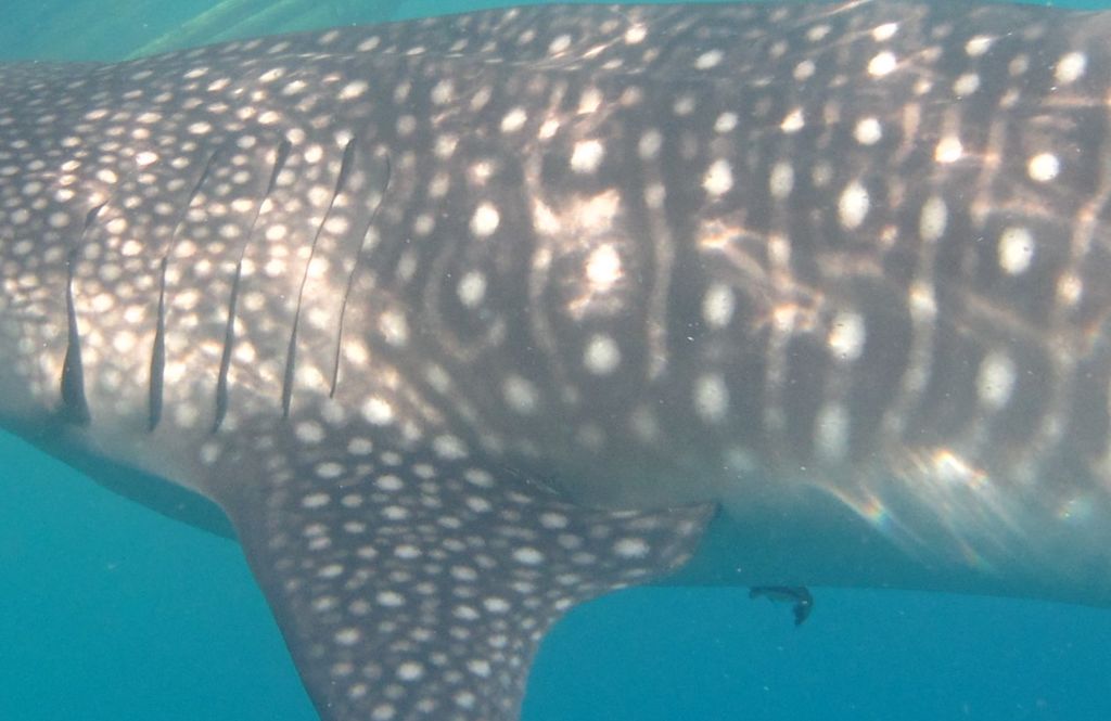 f390ee81-a784-4c56-8c6b-84a72bac6ad4