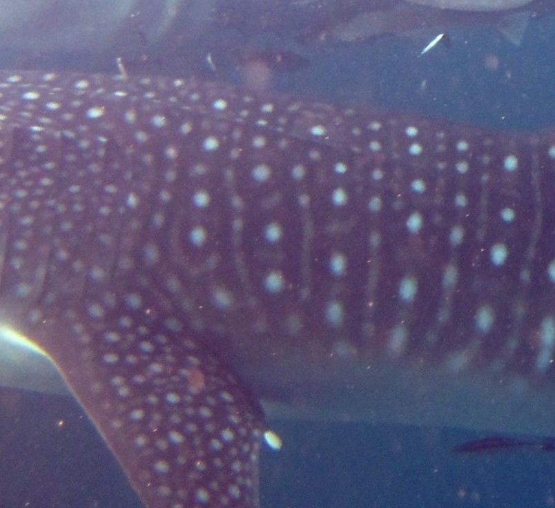 f390ee81-a784-4c56-8c6b-84a72bac6ad4