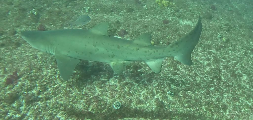 e9edefc7-5035-4c27-a2ea-54e858608a0b