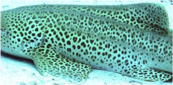 df1e2ddb-366e-4428-b361-433717f94ac3