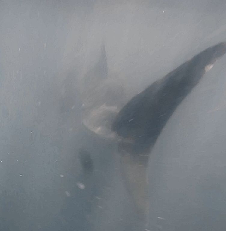 a2a1f6e7-9ab0-4d0e-b925-1b2e66a086b5