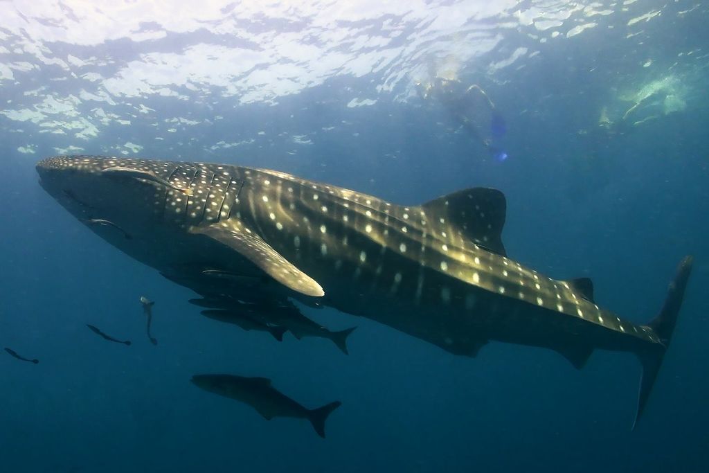 b576d5db-47b4-417b-8549-cbab7393d1bf