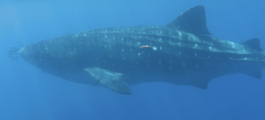 284fa4fc-13cc-42e0-8c50-48eb6b655387