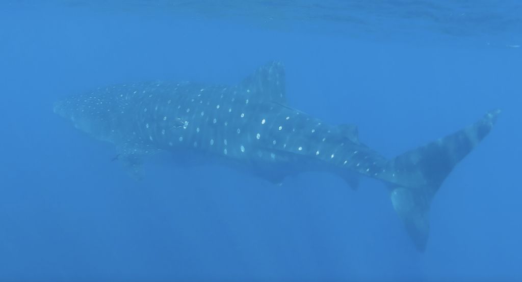 284fa4fc-13cc-42e0-8c50-48eb6b655387