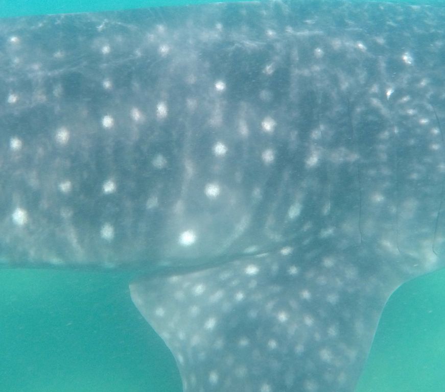 d749f92e-2628-4a28-b6b0-a7a846aed49b