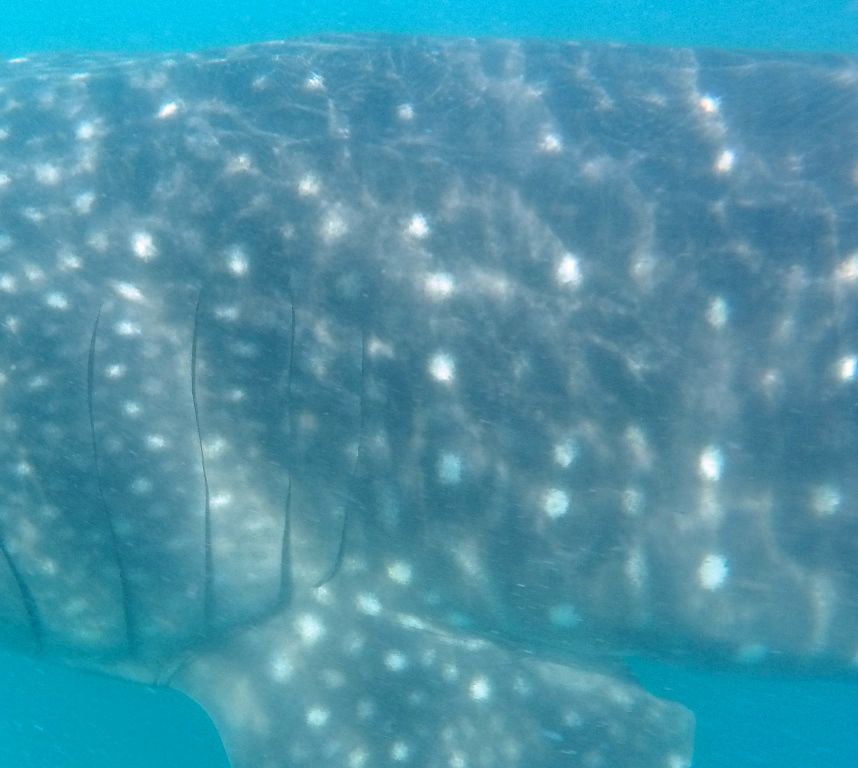 d749f92e-2628-4a28-b6b0-a7a846aed49b