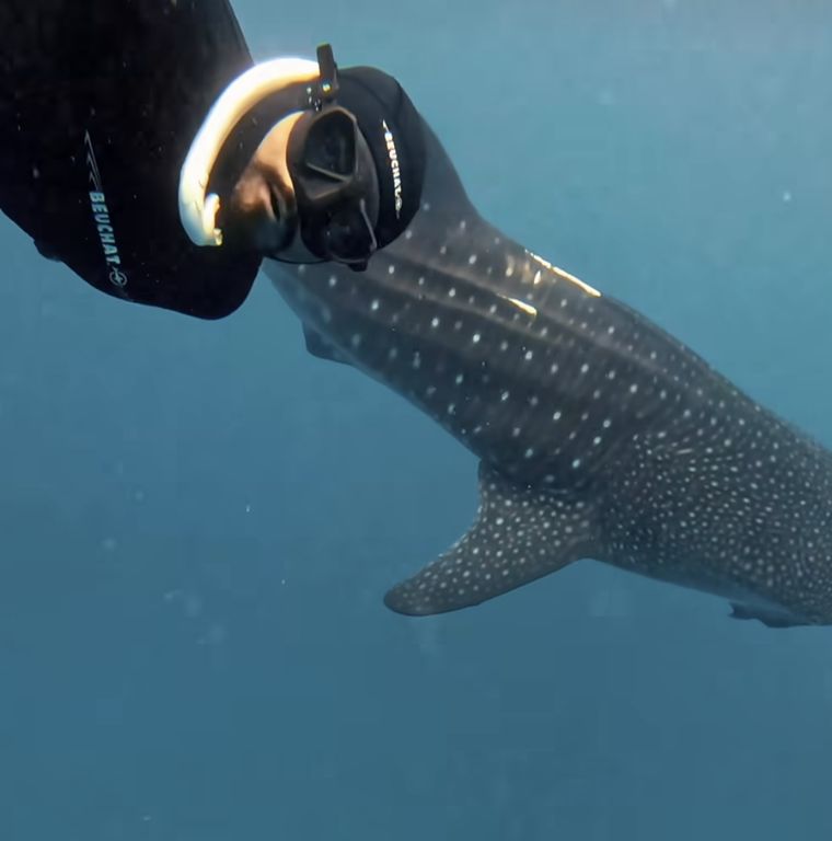 b175bbfb-3ca4-4259-9809-cb9f6f7732a5