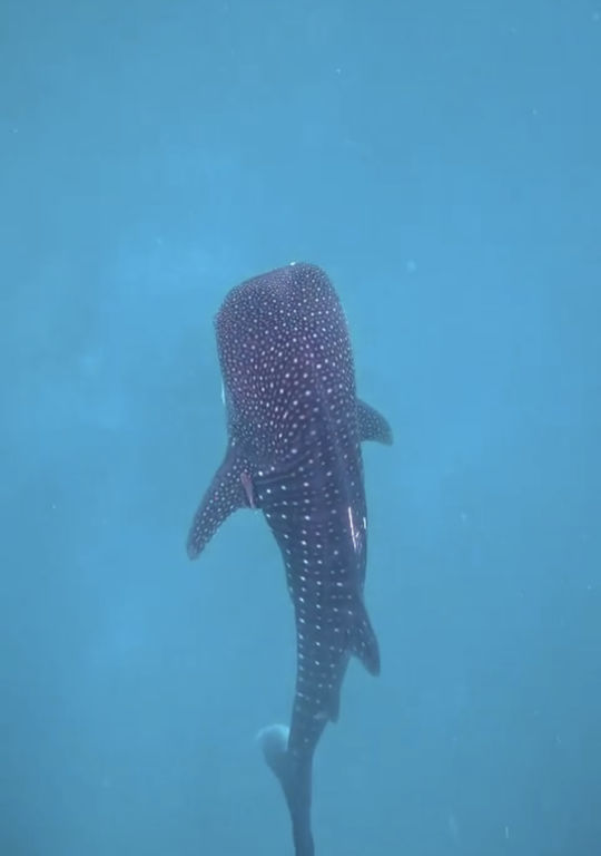 b175bbfb-3ca4-4259-9809-cb9f6f7732a5