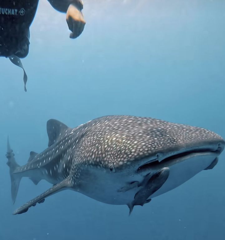 b175bbfb-3ca4-4259-9809-cb9f6f7732a5