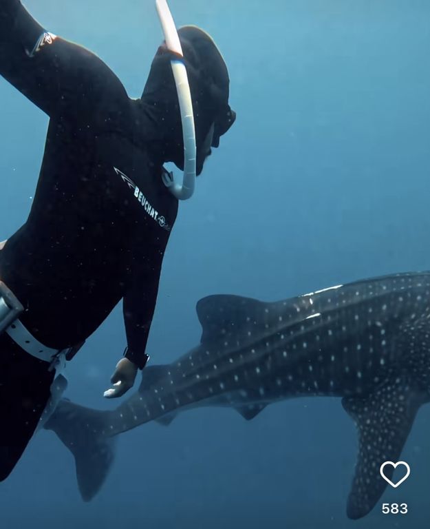 b175bbfb-3ca4-4259-9809-cb9f6f7732a5