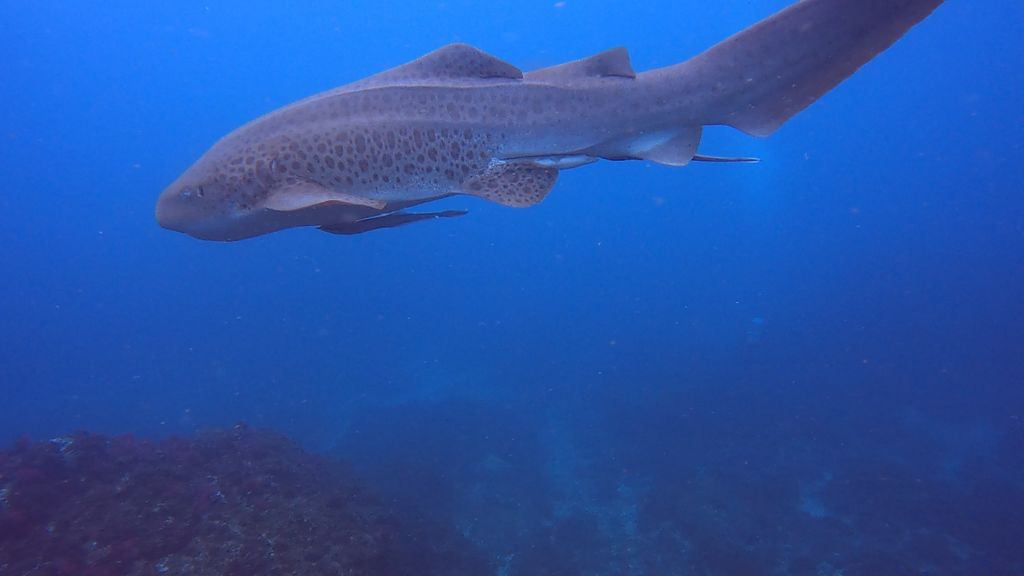 84e56780-f843-4543-99ca-85c0bd31286f