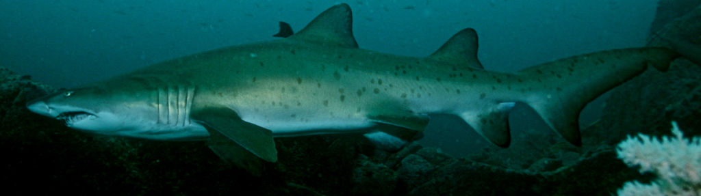 db78e344-f1fa-4e1f-a8c0-9ff21c7044a0