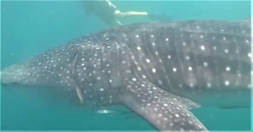 145c6c54-57f6-4fb4-bab6-003301a174af