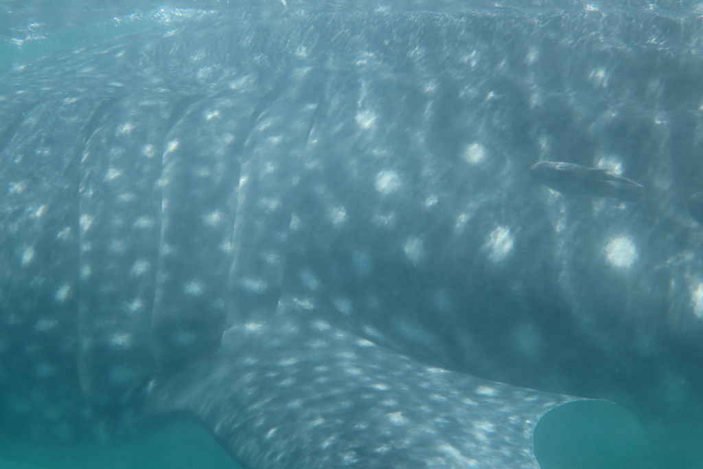 6a990b80-effd-47ce-9e7d-3838a660f4a7