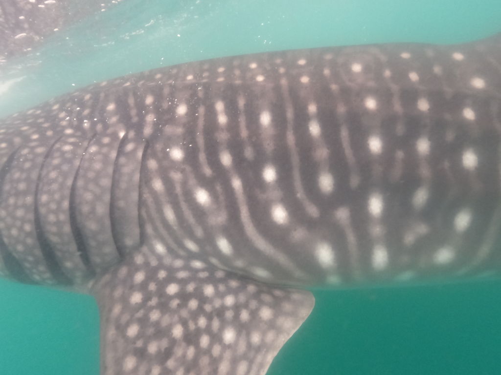 c912b22a-c190-4dd2-839c-81a1f7d47db6